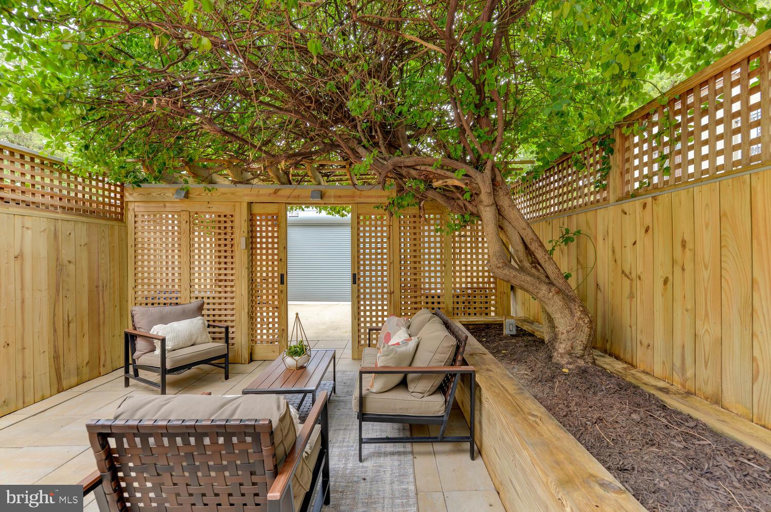 1607 S Street Northwest Washington, DC 20009 - Photo 25 of 75 Beautiful green shade