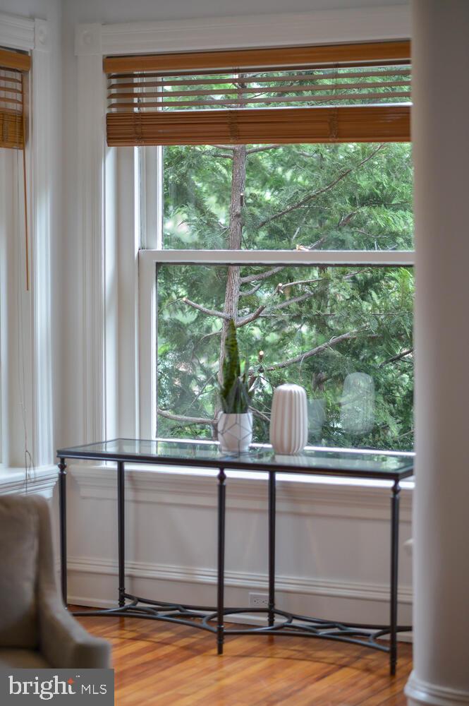 1607 S Street Northwest Washington, DC 20009 - Photo 32 of 75 Lovely window detail with a view to green