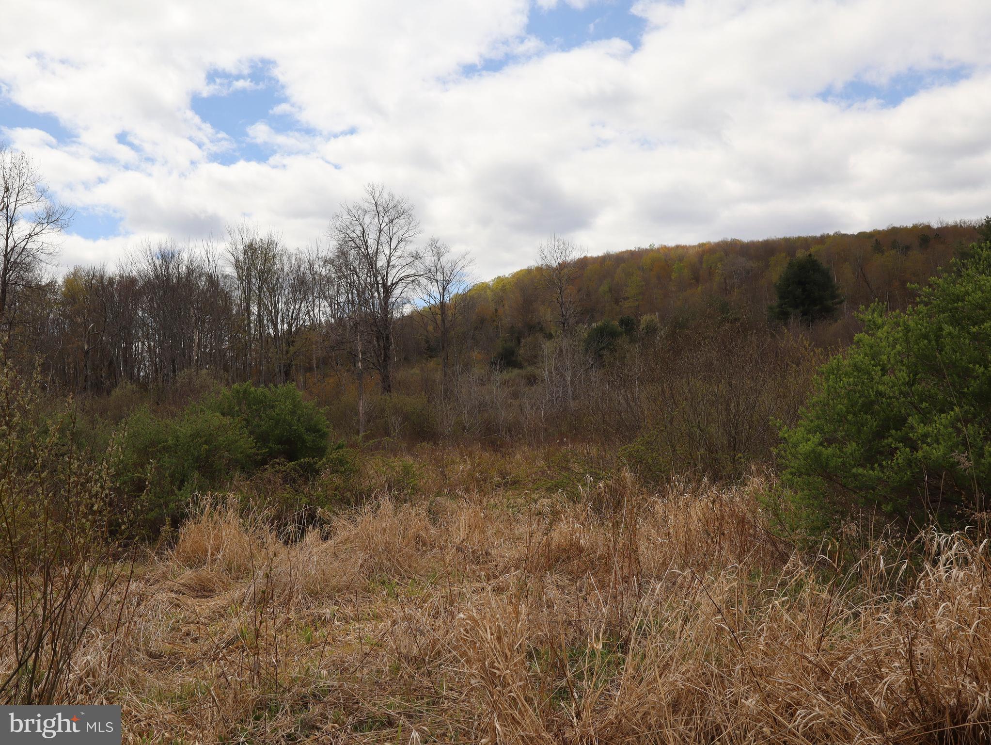 0 Holbrook Road Montrose, PA 18801 - Photo 87 of 147