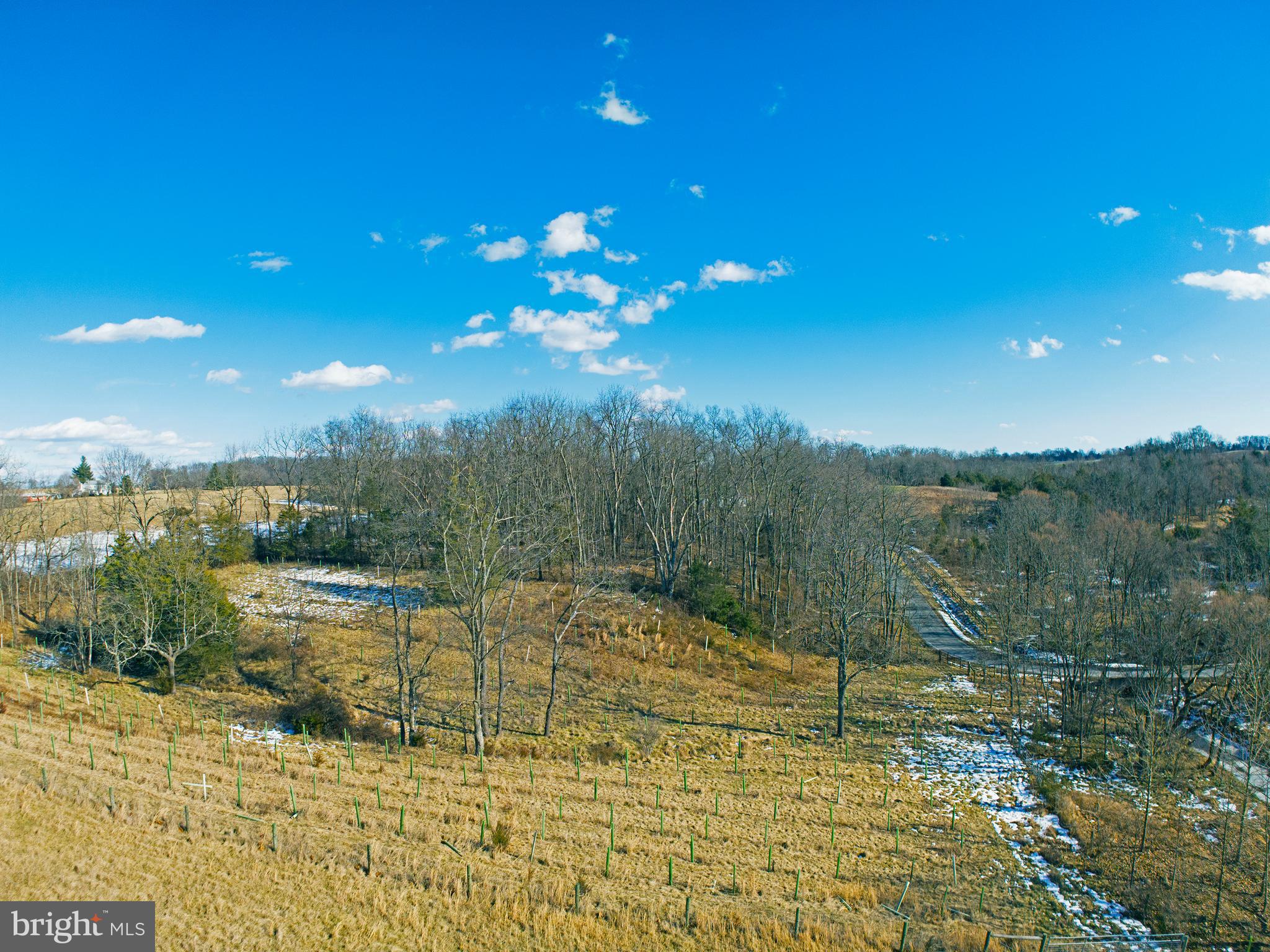 Muth Road Woodsboro, MD 21798 - Photo 8 of 10 a view of a lake with a yard