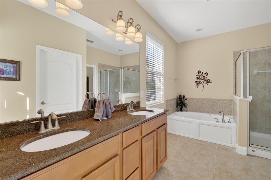 6304 Rolden Court Mount Dora, FL 32757 - Photo 16 of 38