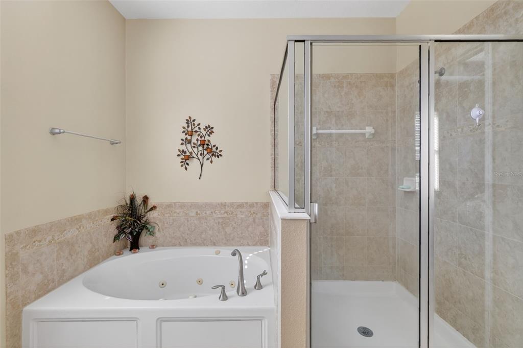 6304 Rolden Court Mount Dora, FL 32757 - Photo 17 of 38