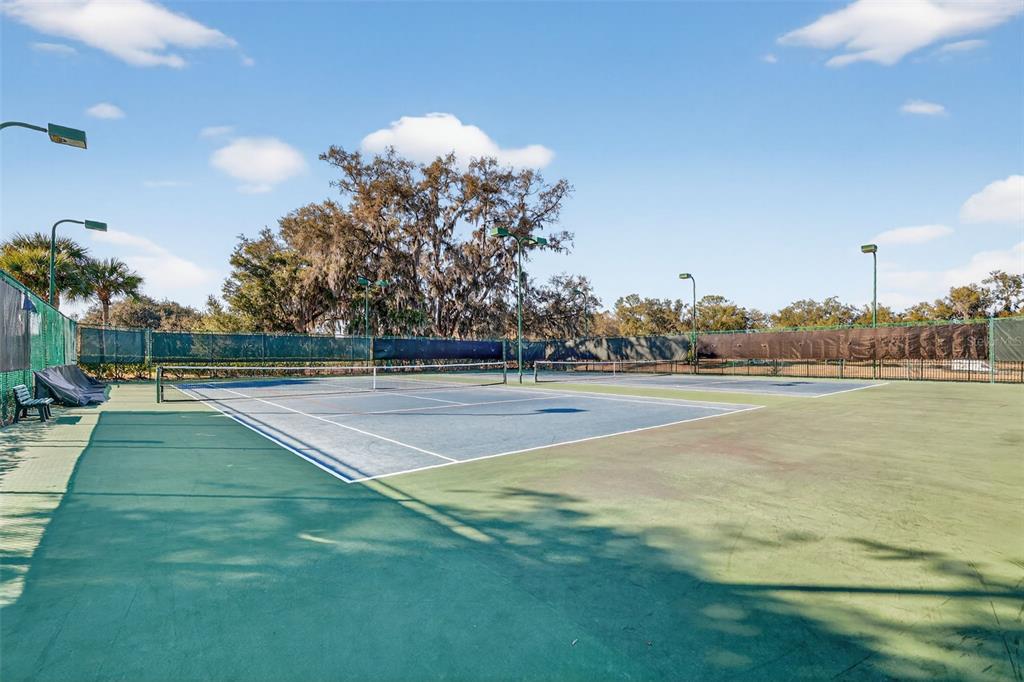 6304 Rolden Court Mount Dora, FL 32757 - Photo 31 of 38