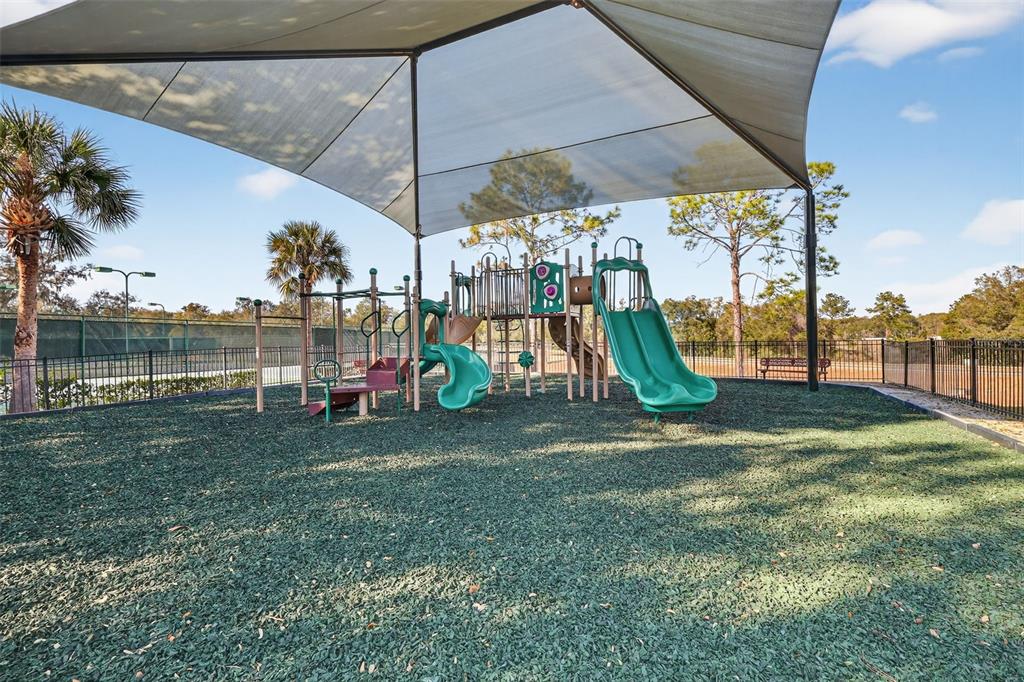 6304 Rolden Court Mount Dora, FL 32757 - Photo 33 of 38