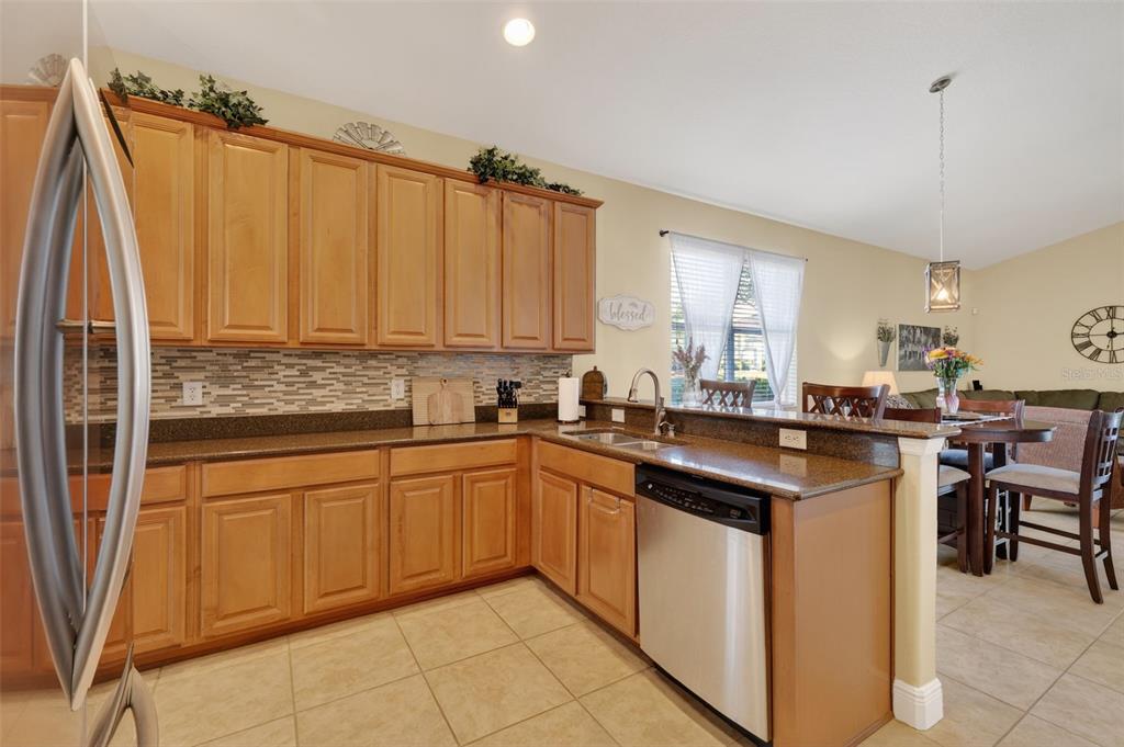 6304 Rolden Court Mount Dora, FL 32757 - Photo 9 of 38