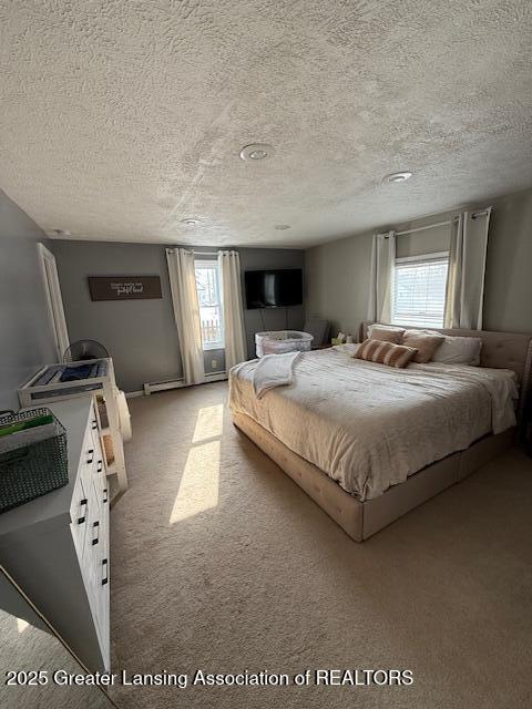 331 East Washington Street Dimondale, MI 48821 - Photo 11 of 20 IMG_1651