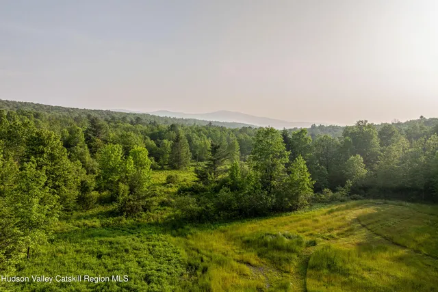 $3,400,000 | 1174 Potter Mountain Road, Gilboa, NY 12076