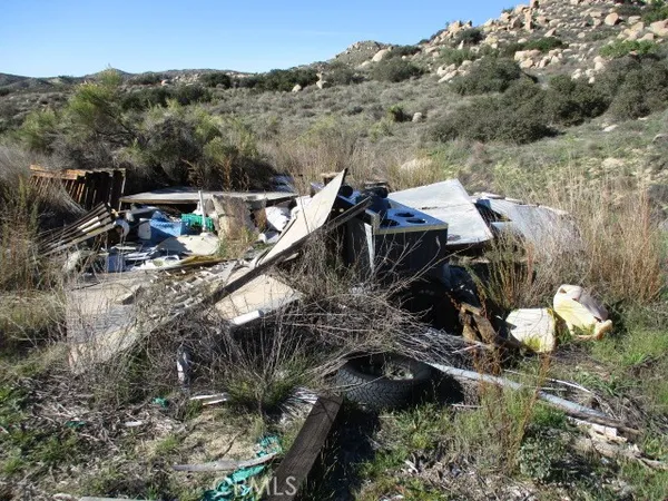 a view of a lot of trees and bushes