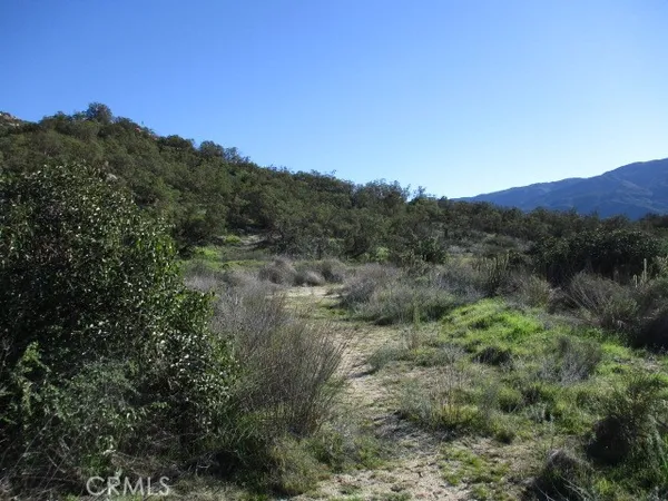 a view of a forest with mountains in the background