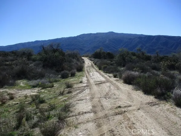 a view of a dry top in middle of a field
