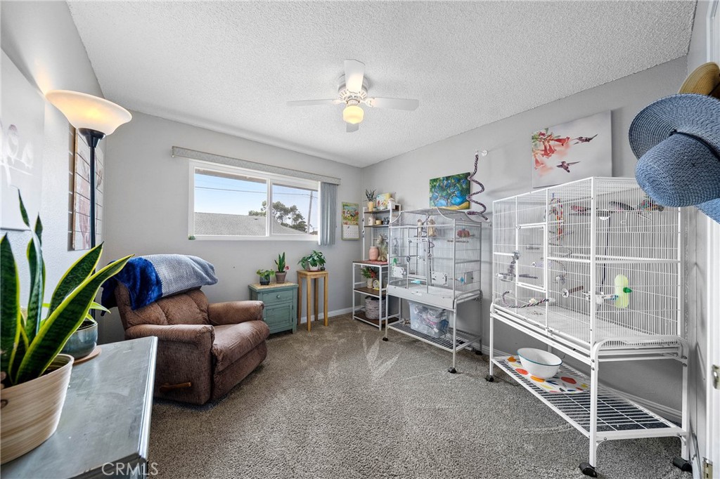 494 South Whipple Street Fort Bragg, CA 95437 - Photo 20 of 41