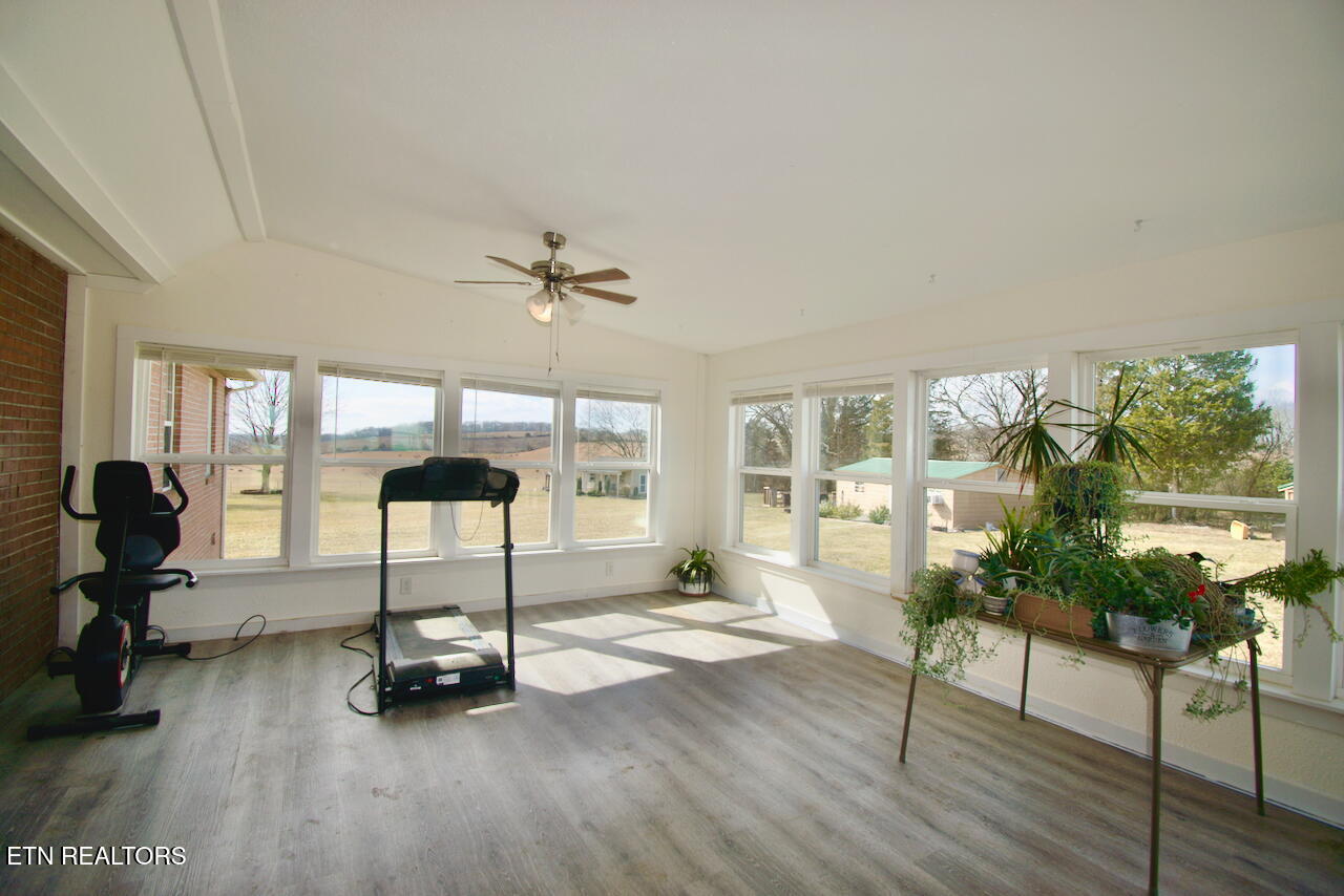 5517 J Riley W Drive Greenback, TN 37742 - Photo 29 of 42 DSC_0587