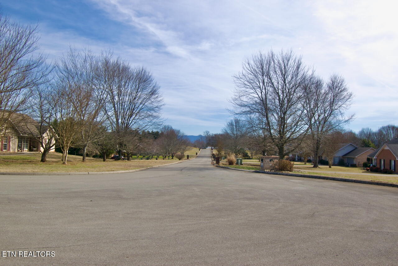 5517 J Riley W Drive Greenback, TN 37742 - Photo 42 of 42 DSC_0609