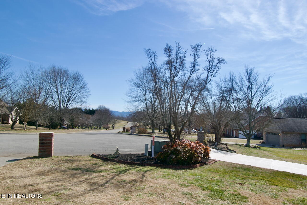 5517 J Riley W Drive Greenback, TN 37742 - Photo 5 of 42 DSC_0562