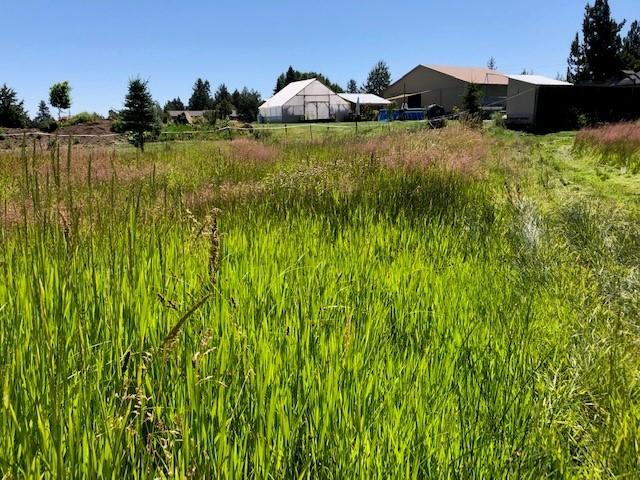 22810 Nelson Road Bend, OR 97701 - Photo 25 of 43 a view of a lake with houses in the back