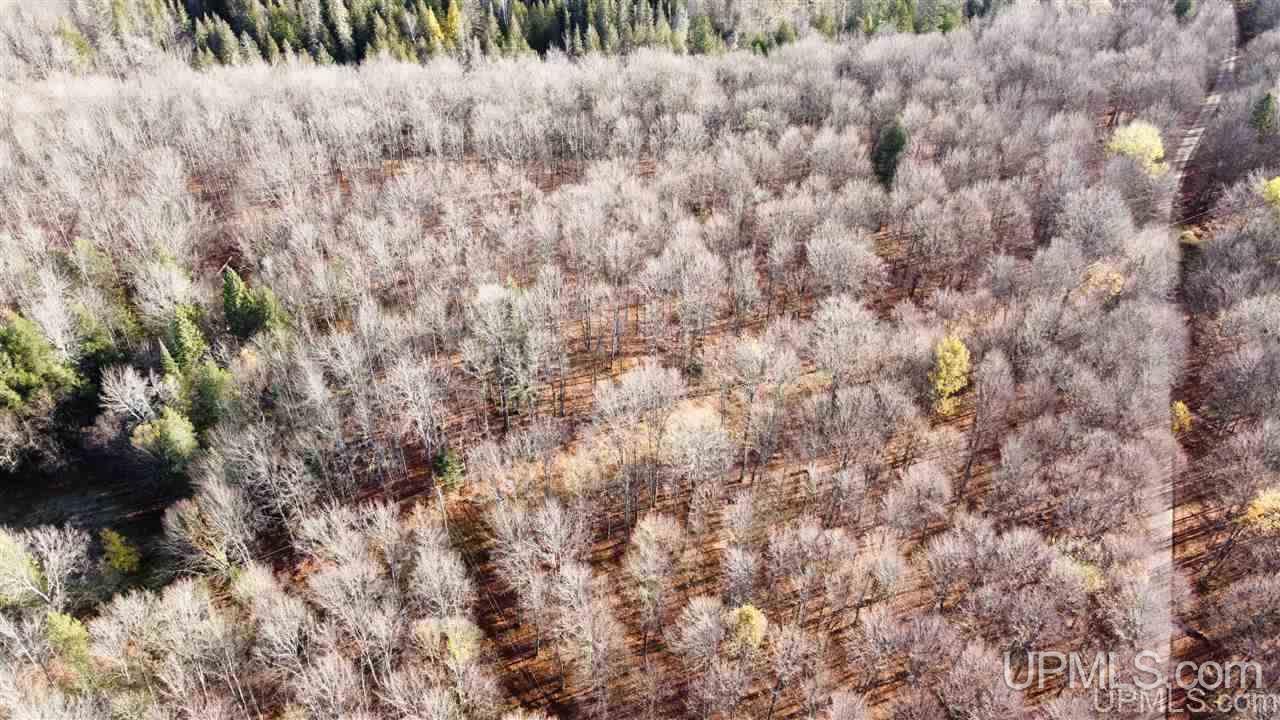 Tbd Newberg Road Channing, MI 49815 - Photo 20 of 29