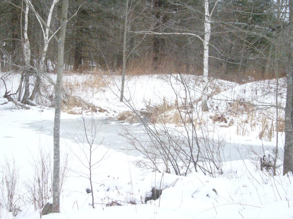 326 Beech Road Eliot, ME 03903 - Photo 20 of 20