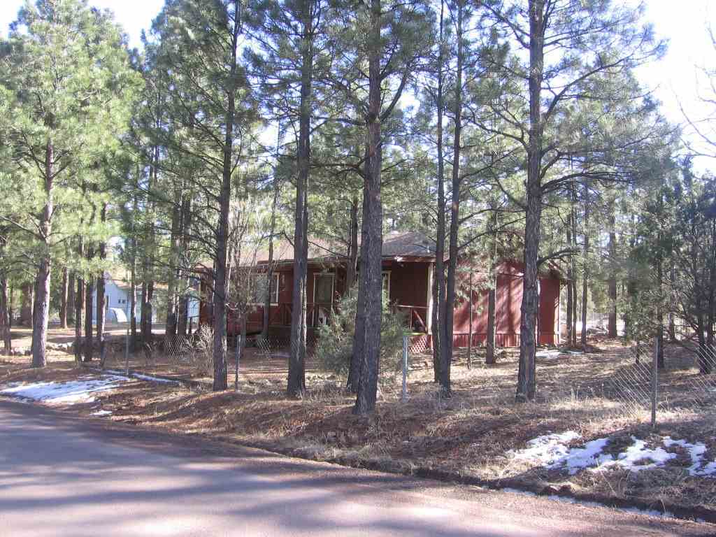 2860 Pine Rim Road Overgaard, AZ 85933 - Photo 1 of 6 a view of road with trees