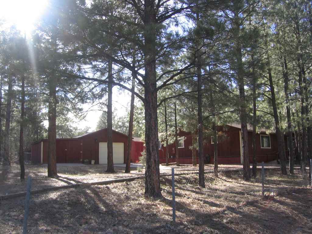 2860 Pine Rim Road Overgaard, AZ 85933 - Photo 2 of 6 a view of a house with a yard covered with snow