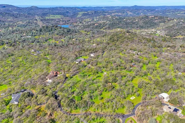 a view of a city with lush green forest