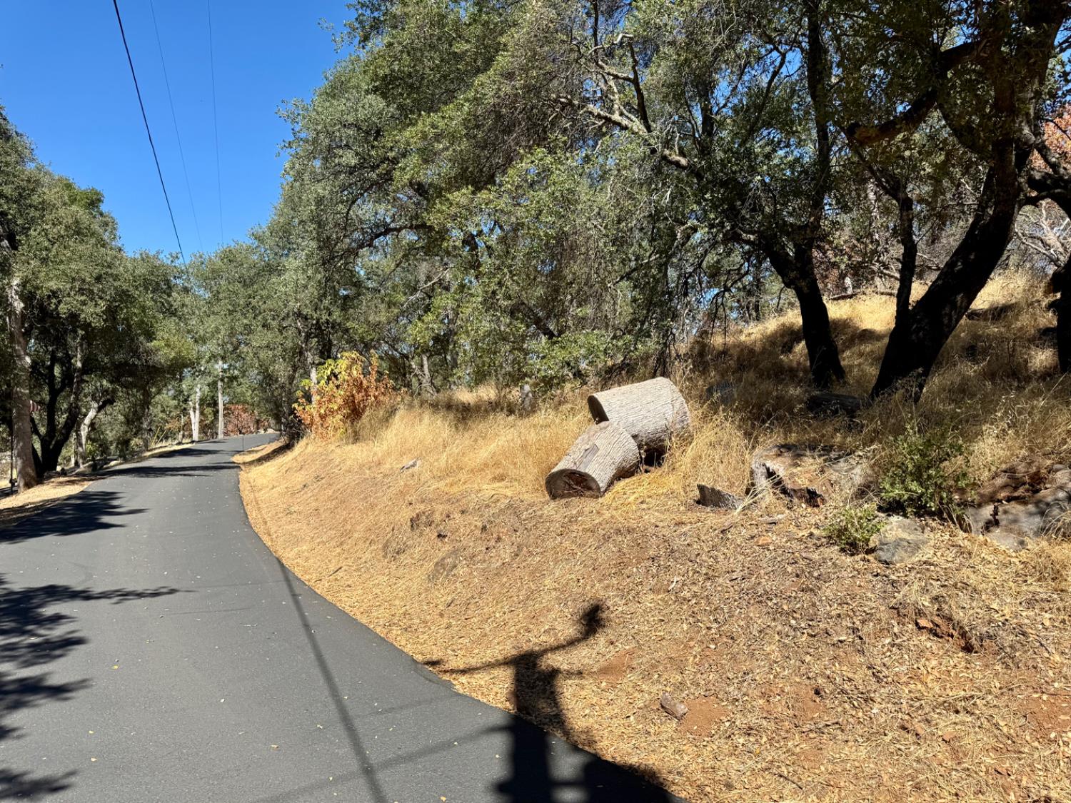 5825 Dragon Springs Road Placerville, CA 95667 - Photo 11 of 18 a view of a yard with snow on the road
