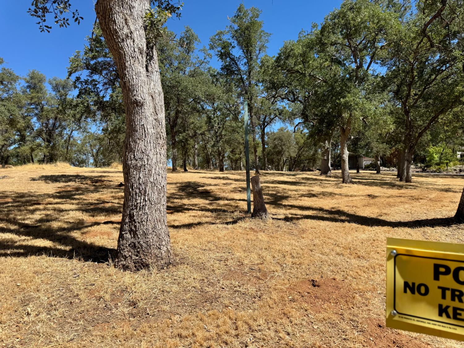 5825 Dragon Springs Road Placerville, CA 95667 - Photo 12 of 18 a view of a yard with trees