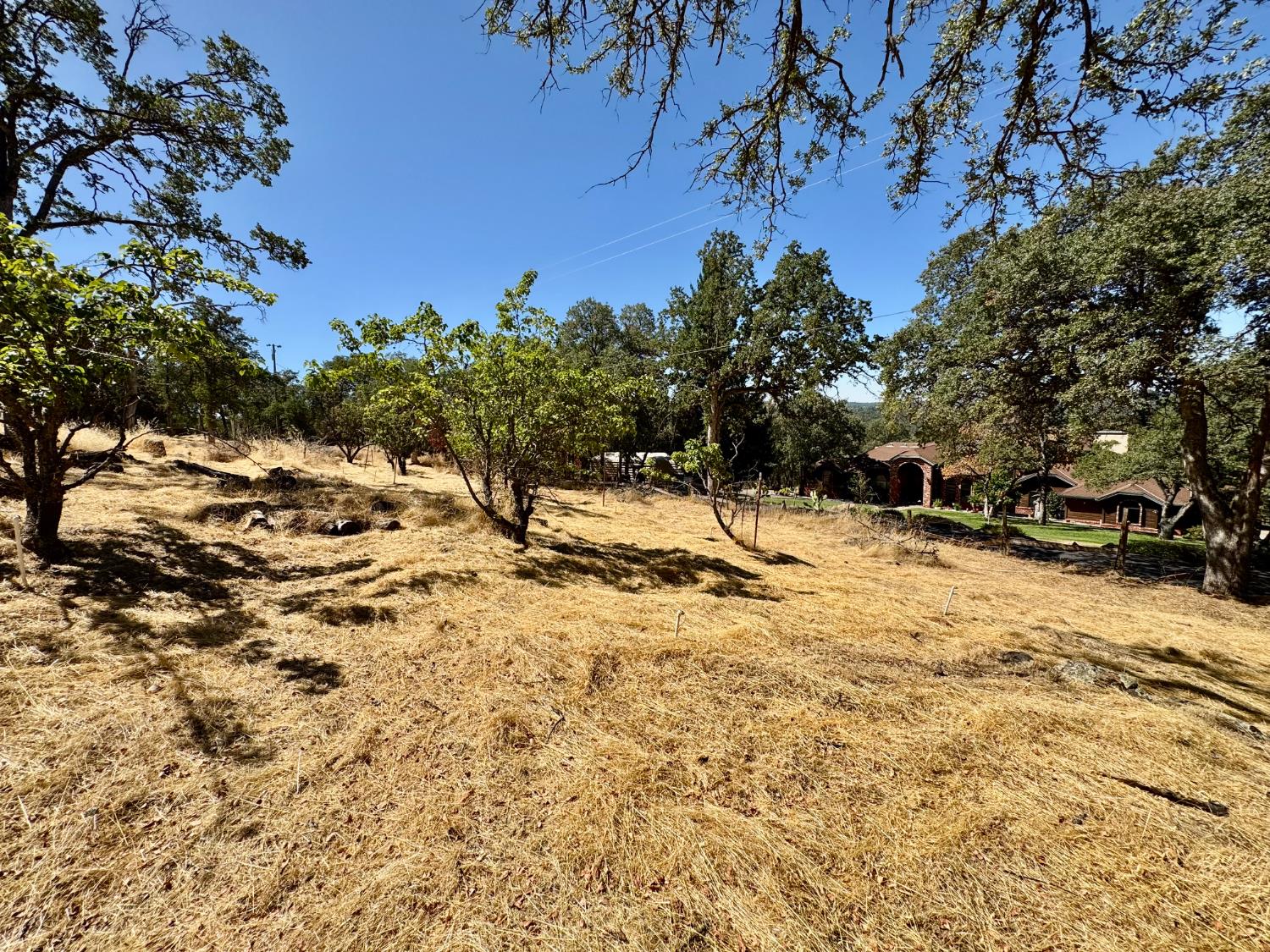 5825 Dragon Springs Road Placerville, CA 95667 - Photo 13 of 18 a view of a snow with a yard