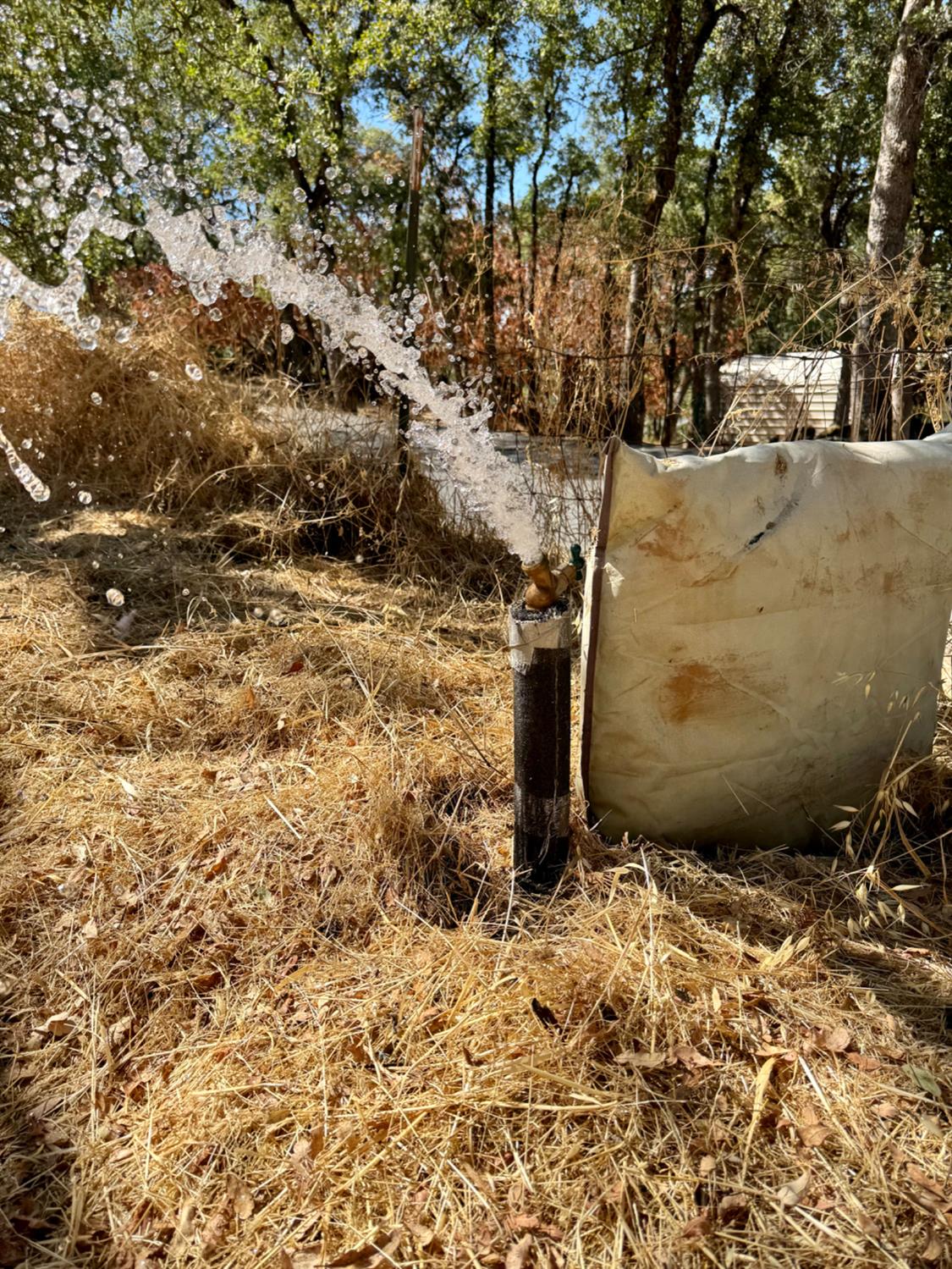5825 Dragon Springs Road Placerville, CA 95667 - Photo 16 of 18 a view of a backyard of the house