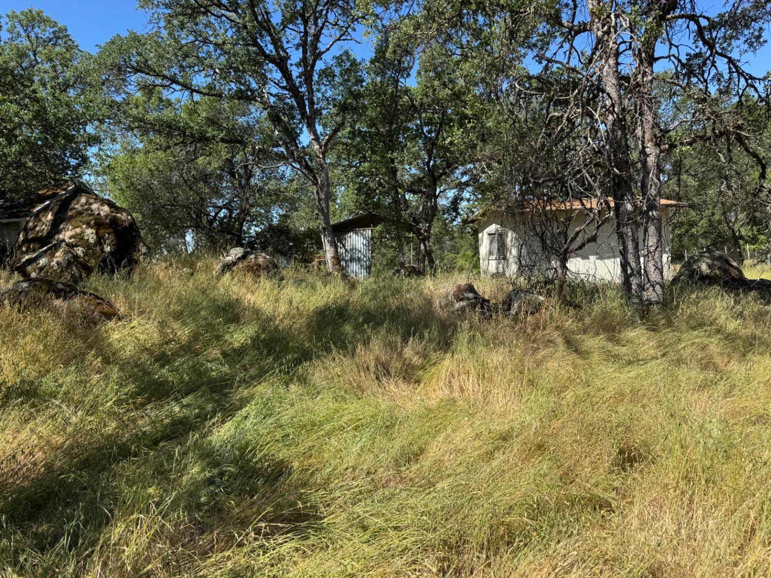5825 Dragon Springs Road Placerville, CA 95667 - Photo 18 of 18 a view of a yard with plants