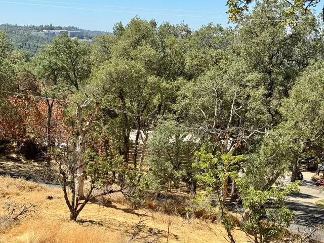 a view of a large yard with lots of bushes