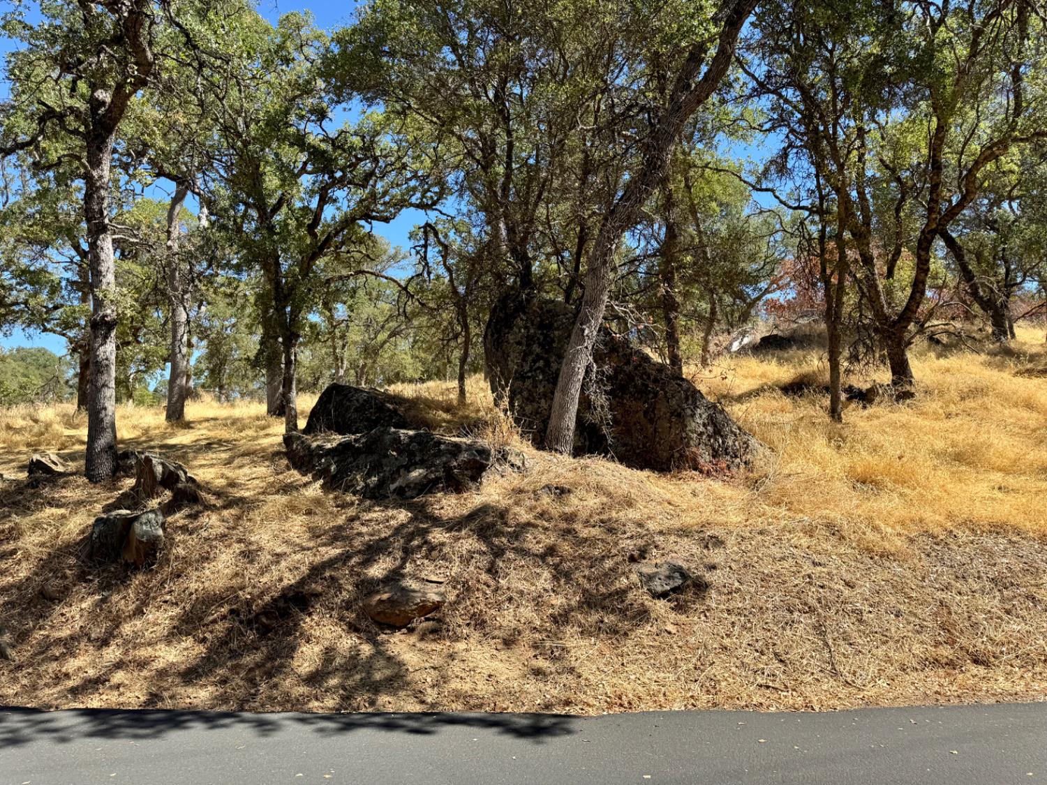 5825 Dragon Springs Road Placerville, CA 95667 - Photo 6 of 18 a backyard of a house with a large tree