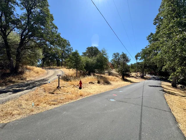a view of outdoor space with trees