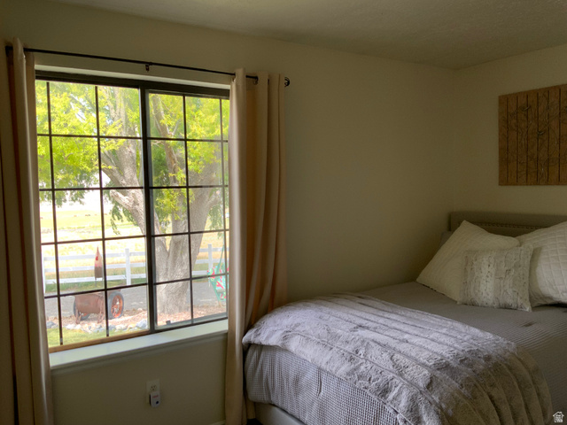 1061 Copper Street Stockton, UT 84071 - Photo 31 of 43 Large window with grid patterns, providing abundant natural illumination