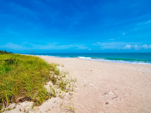 a view of an ocean
