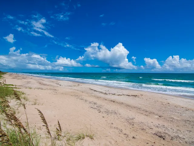 $6,500 | 1340 White Heron Lane, Vero Beach, FL 32963