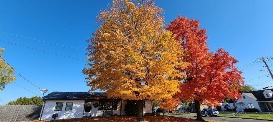 325 Granby Road Chicopee, MA 01013 - Photo 8 of 36 a front view of a building with trees