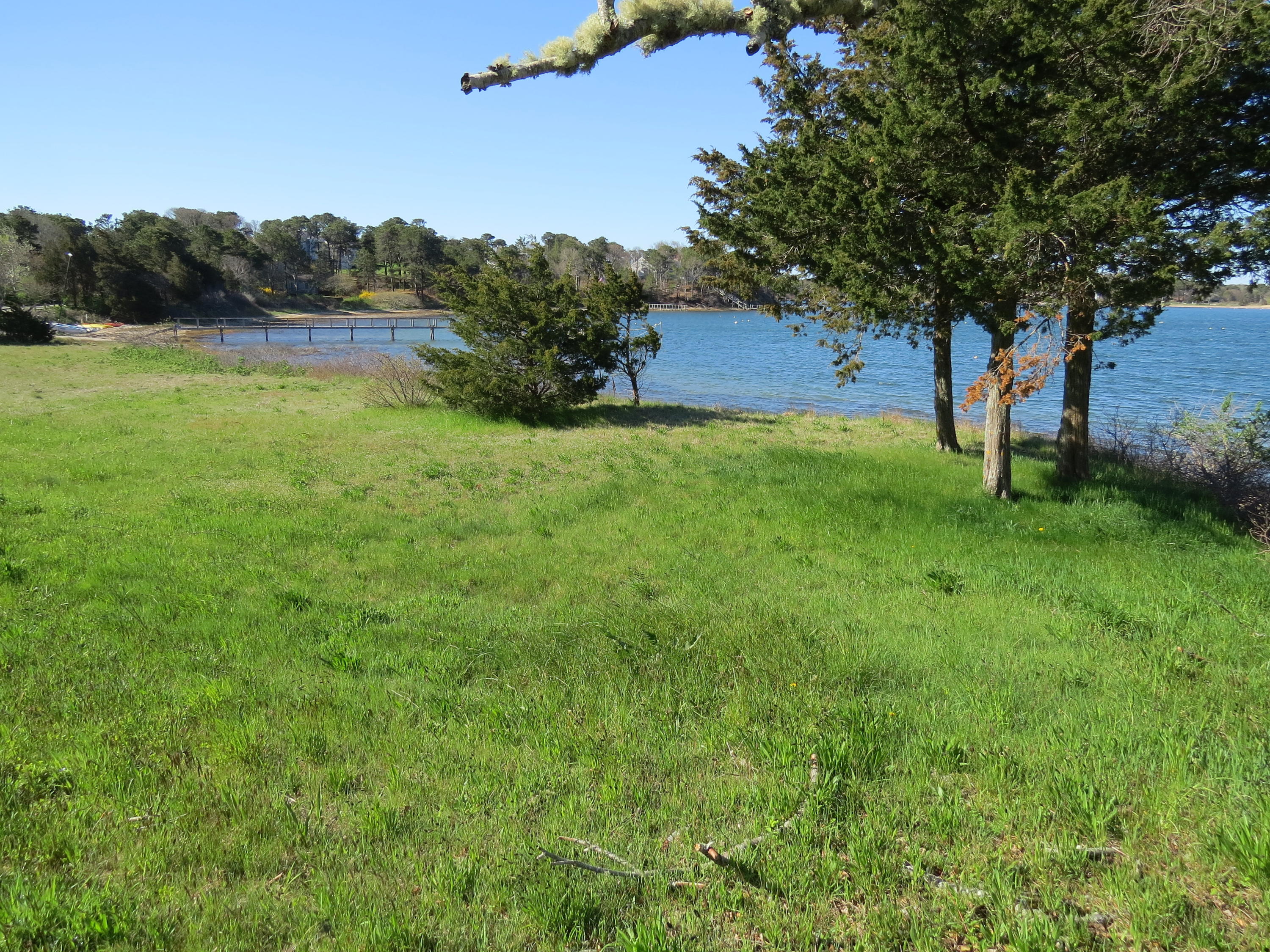 665 Fox Hill Road Chatham, MA 02633 - Photo 4 of 31 a view of a yard with a tree