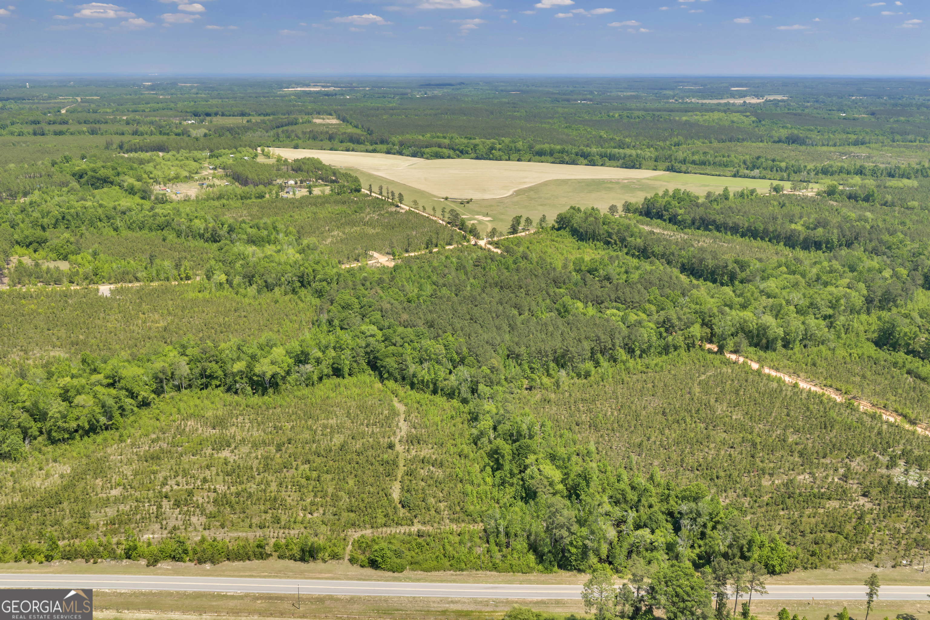 1180 State Rte 126 Cadwell, GA 31009 - Photo 2 of 8