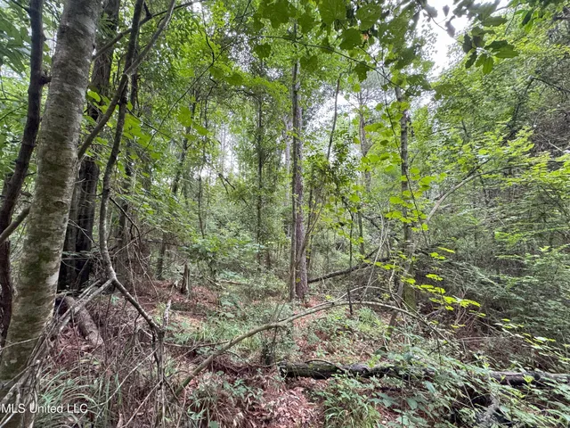 $52,000 | 32477 Chapel Pine Drive, Independence, LA 70443