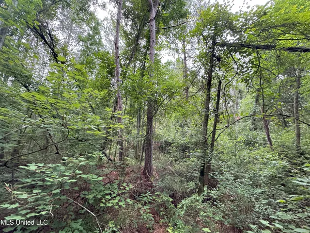 $52,000 | 32477 Chapel Pine Drive, Independence, LA 70443