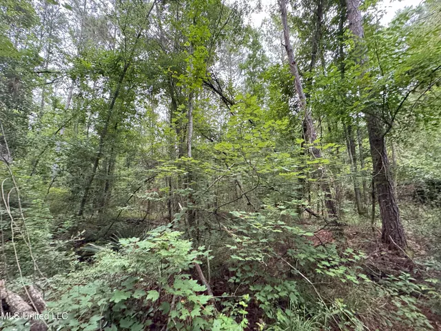 $52,000 | 32477 Chapel Pine Drive, Independence, LA 70443