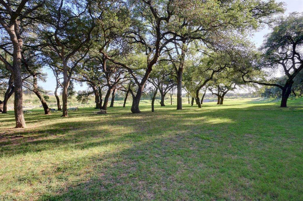 325 River Ridge Spring Branch, TX 78070 - Photo 38 of 40 a view of yard with trees