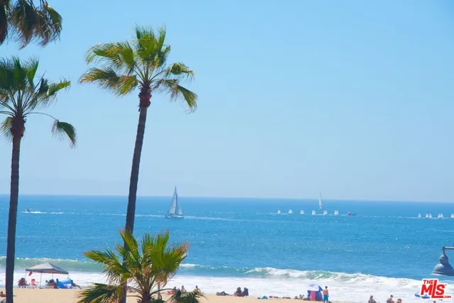 a ocean view with palm trees