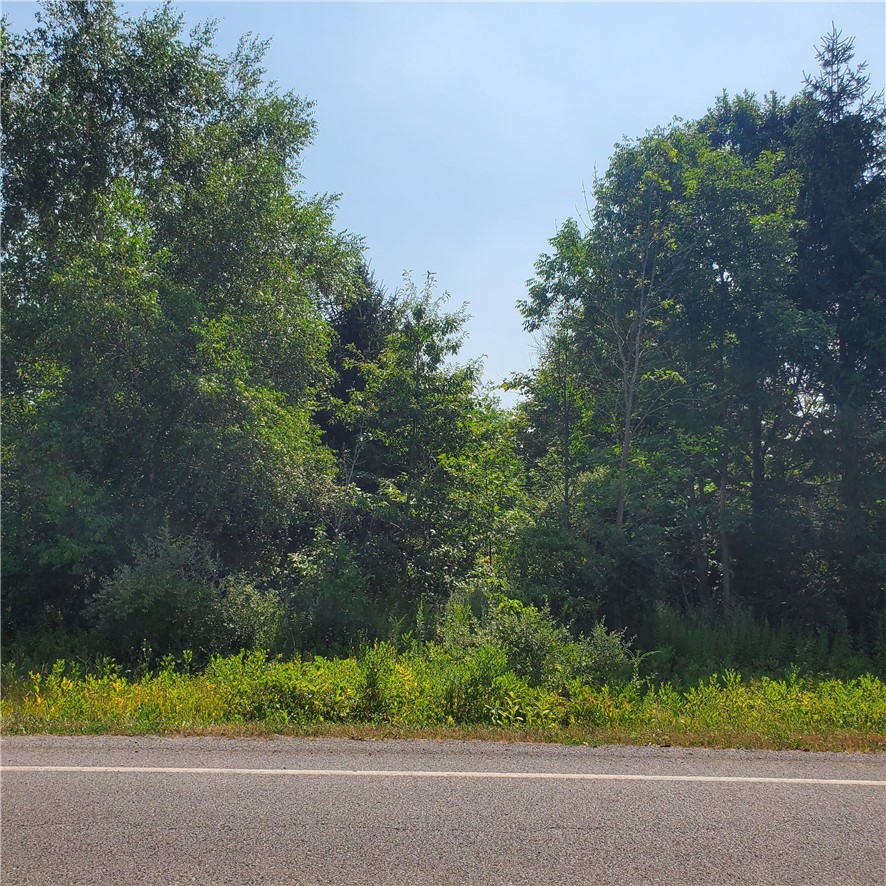 6462 Furnace (3 Lots) Road Ontario, NY 14519 - Photo 3 of 4