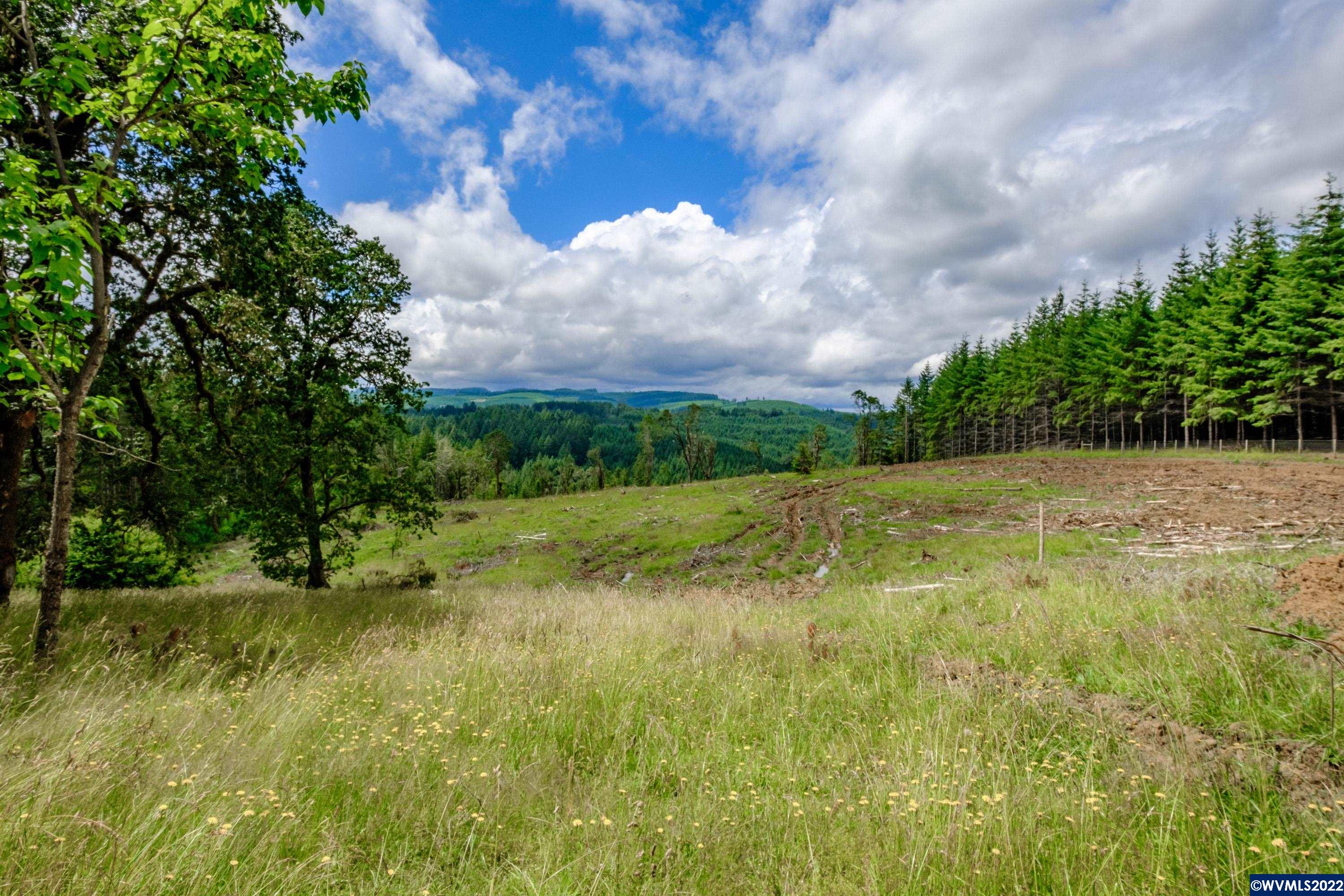 1285 Pioneer Road Dallas, OR 97338 - Photo 1 of 29