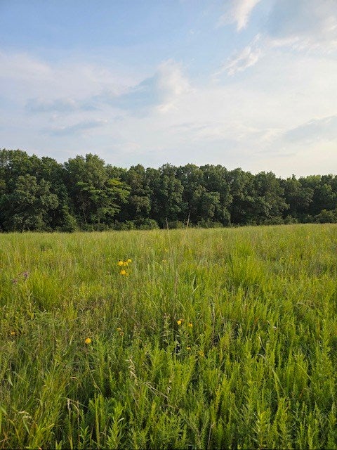 1 Fox Road Purdin, MO 64674 - Photo 9 of 12 Gallery Image 9
