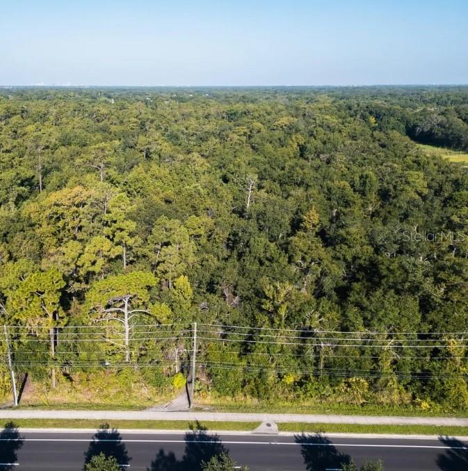 2322 Rouse Road Orlando, FL 32817 - Photo 5 of 8