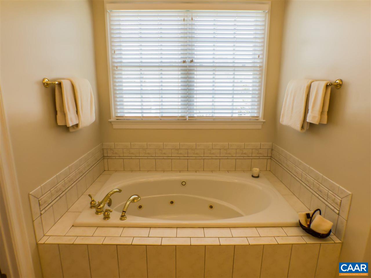 3375 Darby Road Keswick, VA 22947 - Photo 15 of 50 Gallery Image 15