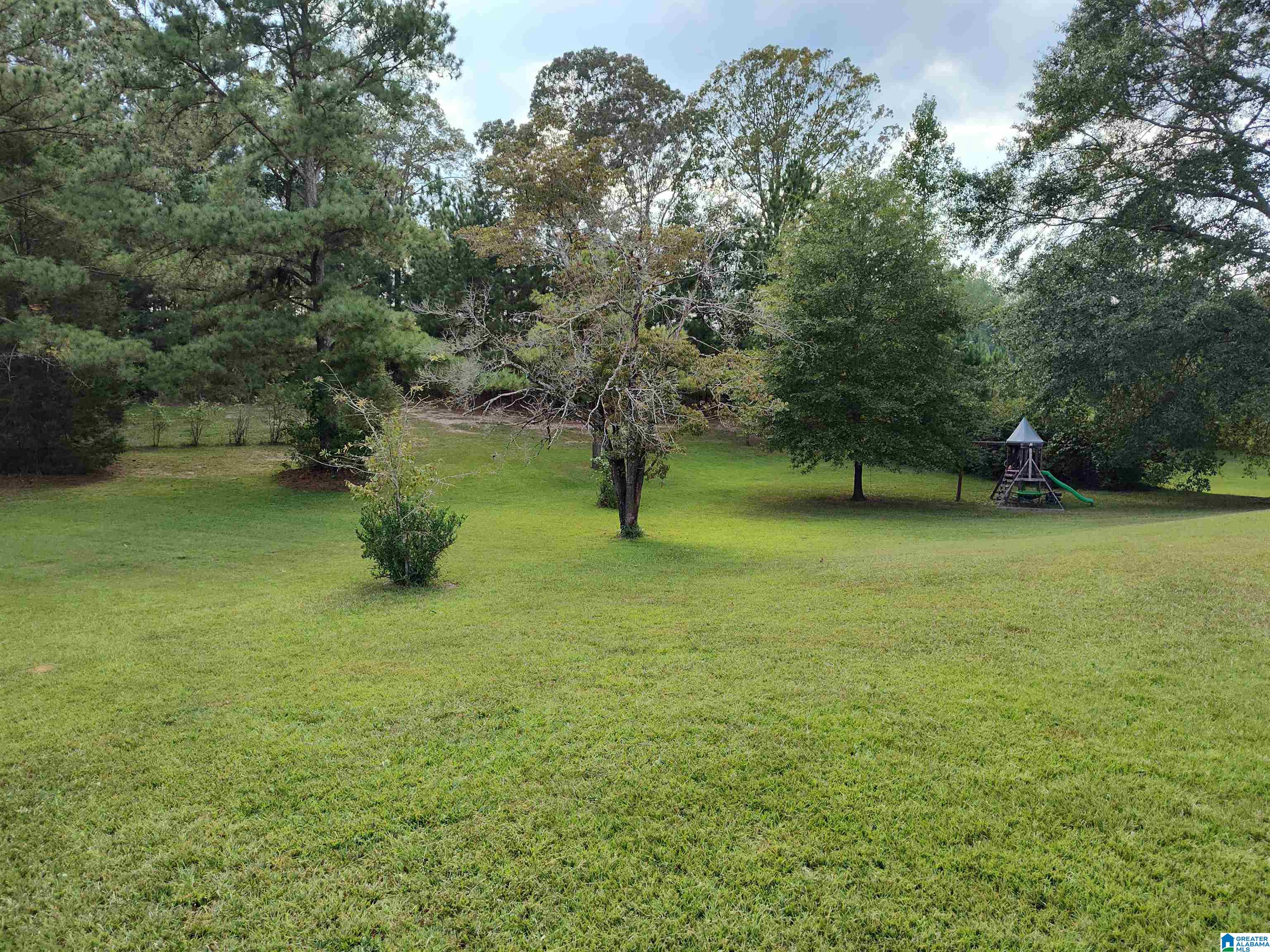400 Houston Road Sylacauga, AL 35151 - Photo 2 of 13
