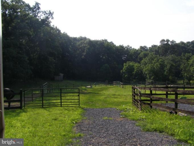 7660 Stone Bridge Road Greencastle, PA 17225 - Photo 30 of 30 Wooded View / Acreage